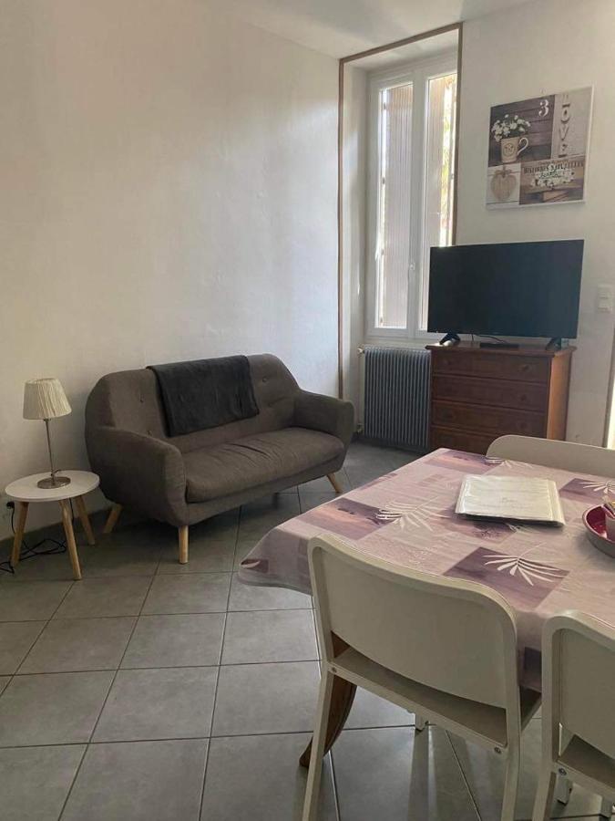 Les Palmiers Apartment Millau Bagian luar foto